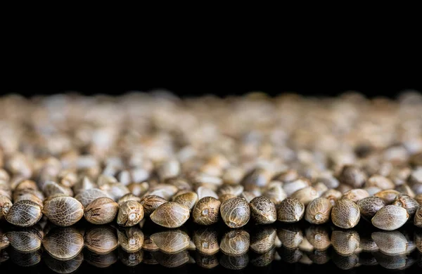 Closeup Shot Marijuana Seeds Black Surface — Stock Photo, Image
