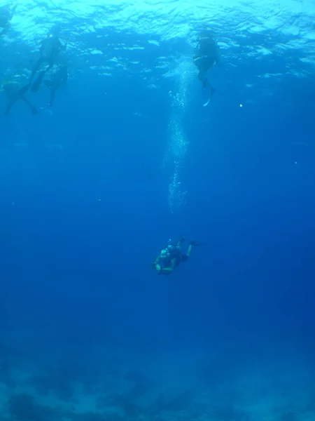 Tir Incroyable Plongeurs Sous Marins Nageant Sous Eau — Photo