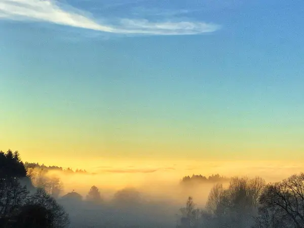 Ein Atemberaubender Sonnenaufgang Wald — Stockfoto