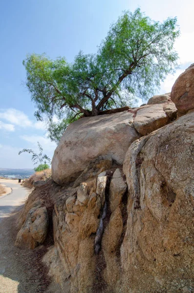 乾燥した環境での岩の垂直ショット — ストック写真