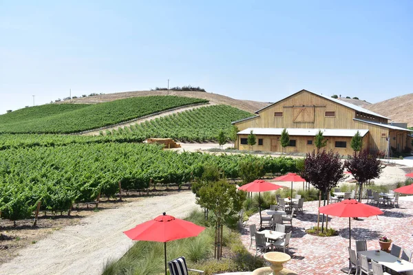 Una Vista Lussureggiante Vigneto Verde Dolci Colline Una Cantina Lusso — Foto Stock