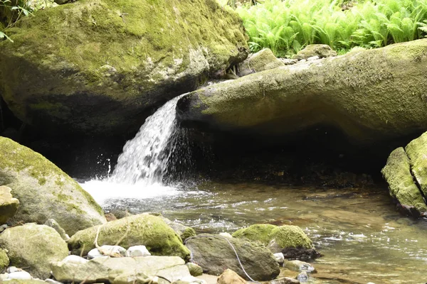 Небольшой Поток Воды Протекающий Через Мшистые Неровные Камни — стоковое фото