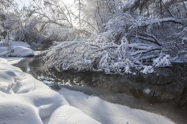 Beautiful Shot River Surrounded Trees Covered Snow Winter Moscow Russia — Stock Photo, Image