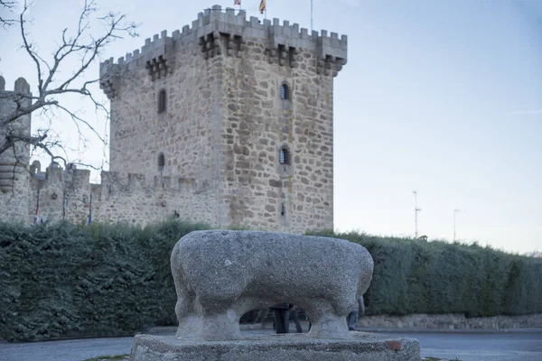 Gros Plan Sélectif Banc Dans Château Villaviciosa Ambles Valley Avila — Photo