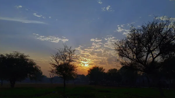 Zon Bij Zonsondergang Achter Wolken Voorgrond Van Bomen — Stockfoto