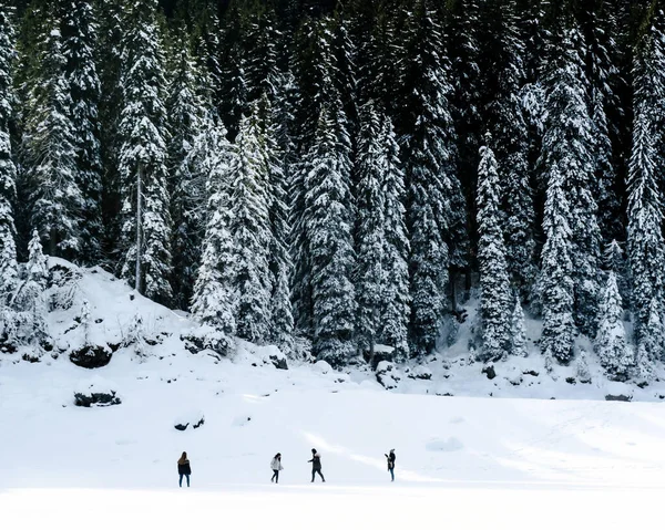 Grupo Jóvenes Amigas Con Abrigo Invierno Pie Rodeadas Por Una —  Fotos de Stock