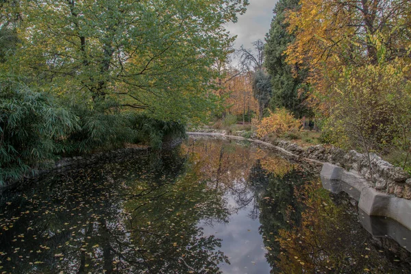 Krásný Záběr Malý Rybníček Podzimním Parku Obklopený Barevnými Stromy Odrážejícími — Stock fotografie