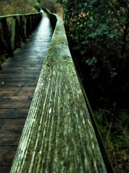 在绿光下 公园里木制扶手的垂直照片 — 图库照片