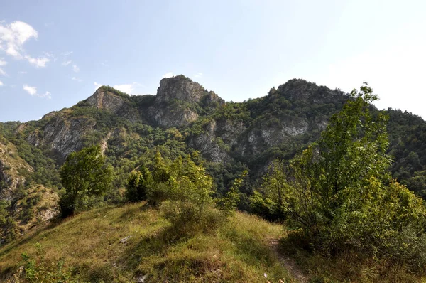 Colinas Verdes Del Bosque Provincia Tavush Armenia — Foto de Stock