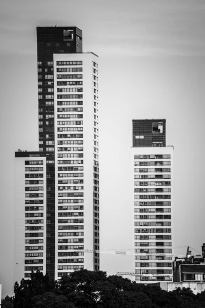 Uma Imagem Vertical Escala Cinza Dos Edifícios Altos Capturados Durante — Fotografia de Stock