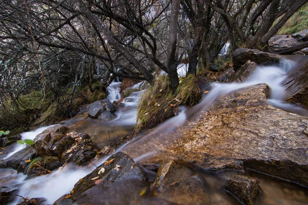 Ruisseau Coulant Sur Gros Rochers Dans Une Forêt — Photo