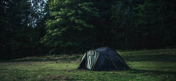 Una Carpa Negra Medio Campo Sobre Fondo Árboles Verdes — Foto de Stock