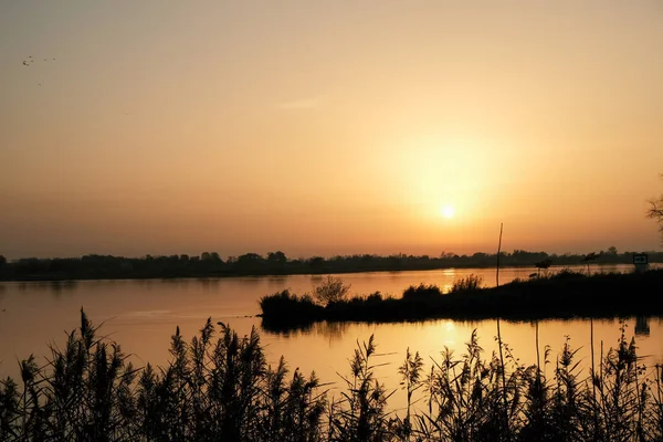 Uno Scenario Tramonto Mozzafiato Sul Lago Con Erba Sagomata — Foto Stock