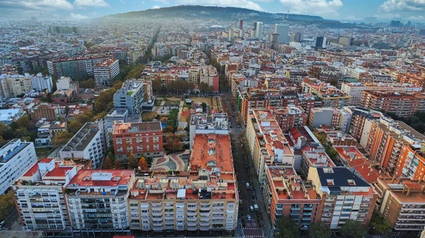 Okyanus Kıyısındaki Bir Şehirde Binaların Havadan Çekilmiş Bir Fotoğrafı — Stok fotoğraf