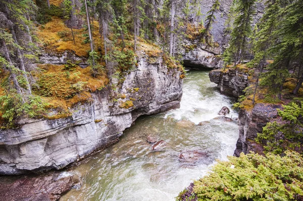 Rio Maligne Canyon Parque Nacional Jasper Localizado Alberta Canadá — Fotografia de Stock