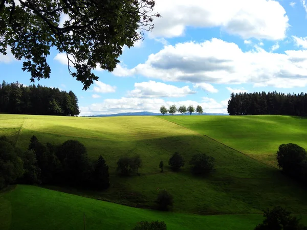 Eine Flache Aufnahme Grüner Landschaft Schwarzwald Von Landschaft Schwarzwald — Stockfoto