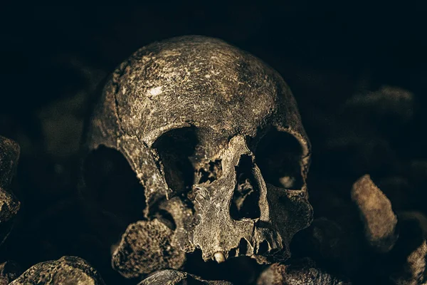 Primer Plano Cráneo Humano Espeluznante Dañado Una Pila Huesos —  Fotos de Stock