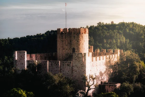 Paesaggio Castello Dei Contadini Circondato Alberi Spagna — Foto Stock