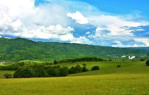 Een Groen Landschap Uitzicht Roemenie Een Bewolkte Lucht Achtergrond — Stockfoto