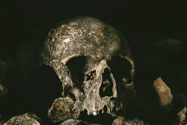 Closeup Shot Damaged Old Creepy Human Skull Bone Pile — Stock Photo, Image