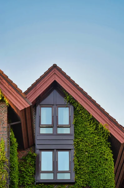 Eine Vertikale Aufnahme Eines Modernen Hauses Mit Kletterpflanzen Den Außenwänden — Stockfoto
