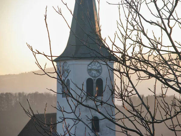 Las Ramas Árbol Con Una Torre Reloj Una Iglesia Durante — Foto de Stock