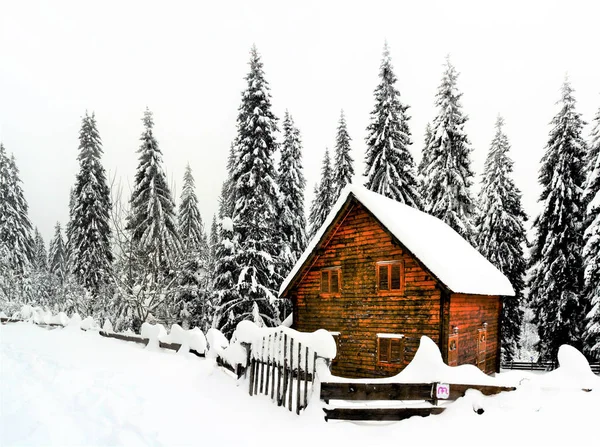 Una Piccola Casa Legno Una Foresta Invernale — Foto Stock