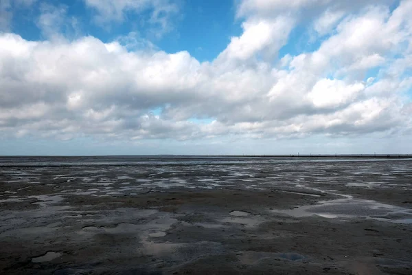 Bulutlu Bir Günde Yakalanan Çamurlu Sahil — Stok fotoğraf