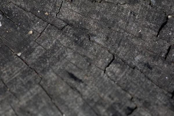 Close Textura Casca Escura — Fotografia de Stock