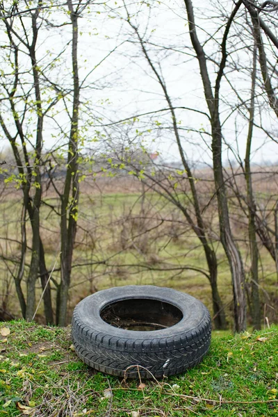 Tiro Vertical Uma Roda Contra Uma Paisagem Rural — Fotografia de Stock