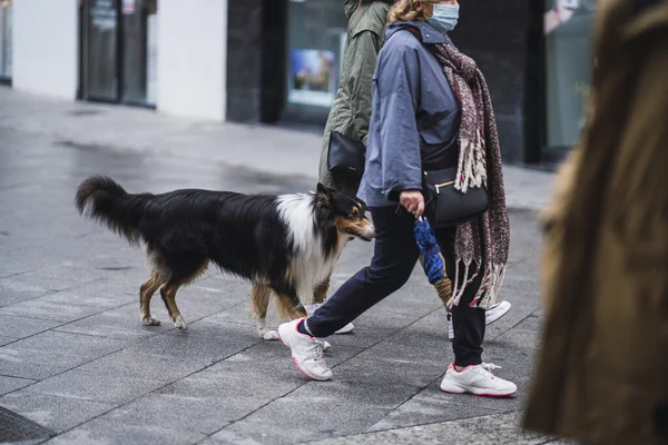 Selektiv Fokusbild Hund Som Går Bakom Kvinna Som Bär Sanitär — Stockfoto