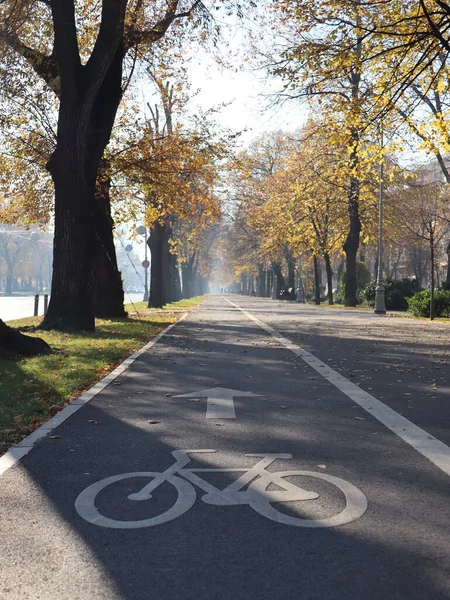 Μια Κάθετη Λήψη Ποδηλατοδρόμου Που Περιβάλλεται Από Δέντρα — Φωτογραφία Αρχείου