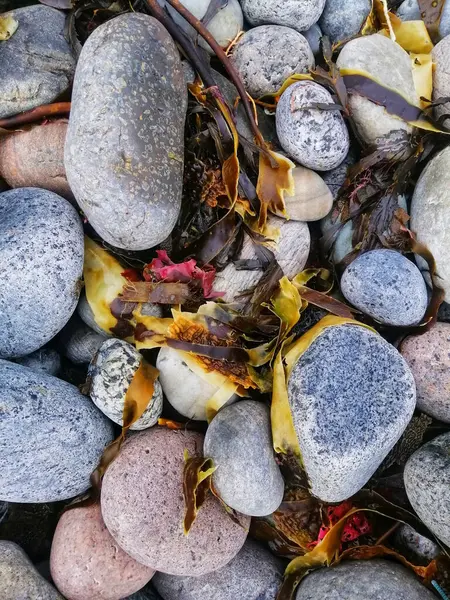 Nærbillede Lodret Skud Bunke Sten Molen Strand Norge - Stock-foto