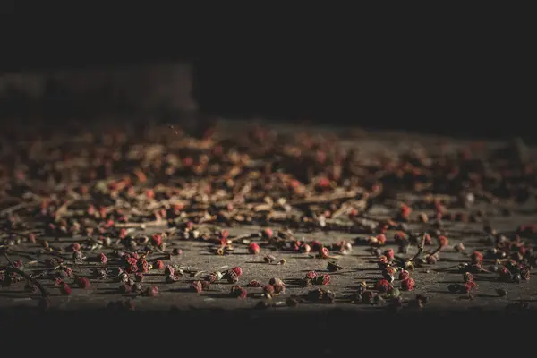 Ein Schuss Roter Beeren Auf Einer Glatten Oberfläche Die Von — Stockfoto