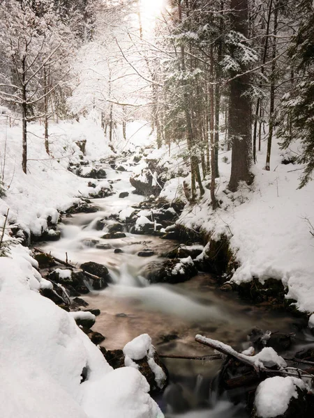 冬の森の中で美しいストリームの長い露出画像 — ストック写真