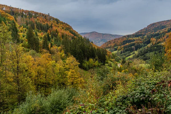 Vue Sur Cascade Todtnau Forêt Noire Allemagne — Photo