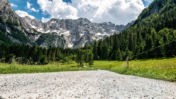 Image Niveau Surface Chemin Terre Dans Une Belle Vallée Entourée — Photo