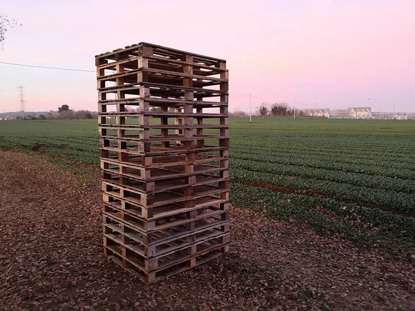 Een Stapel Houten Pallets Een Gecultiveerd Veld — Stockfoto