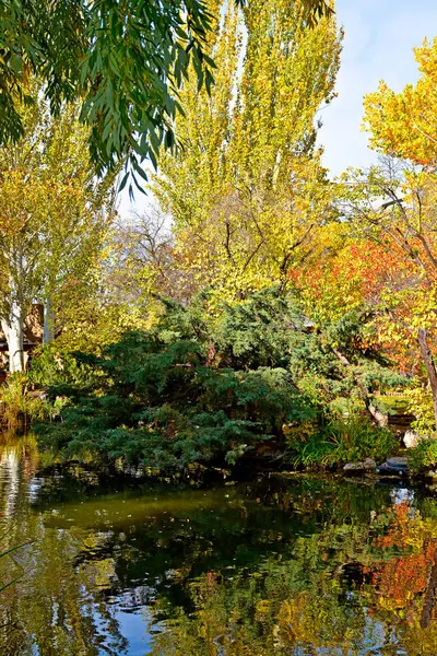 Piękny Jesienny Krajobraz Jeziorem Kolorowe Drzewa — Zdjęcie stockowe