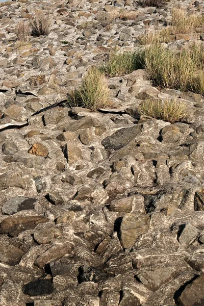 Vertical High Angle Shot Rocky Ground Captured Sunny Day — Zdjęcie stockowe