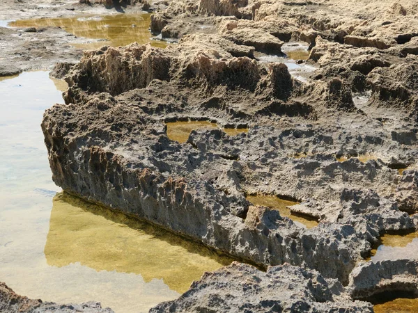 Gros Plan Une Surface Rocheuse Près Une Eau Sale — Photo