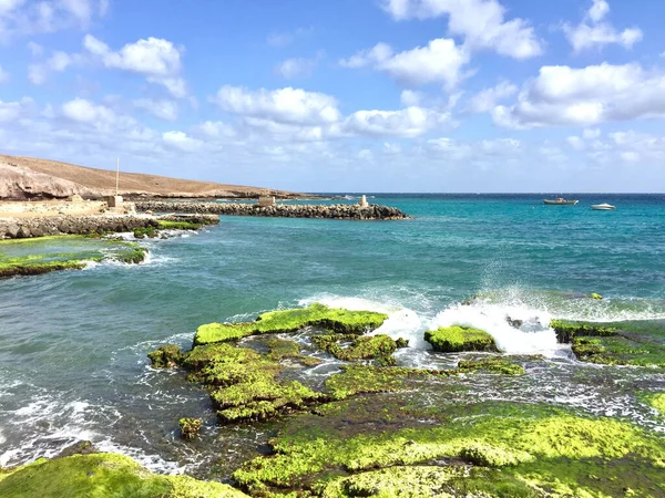 Vacker Bild Havsstrand Med Gröna Alger Klippan — Stockfoto