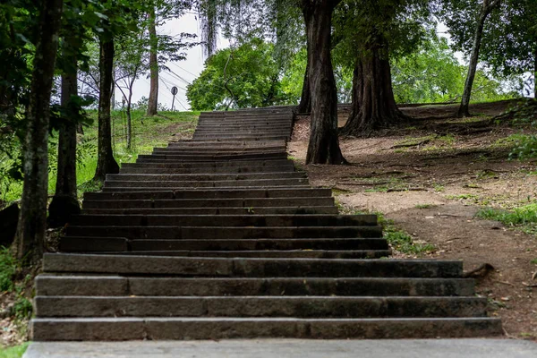 Een Stenen Trap Naar Een Stadspark Met Bomen Aan Zijkant — Stockfoto