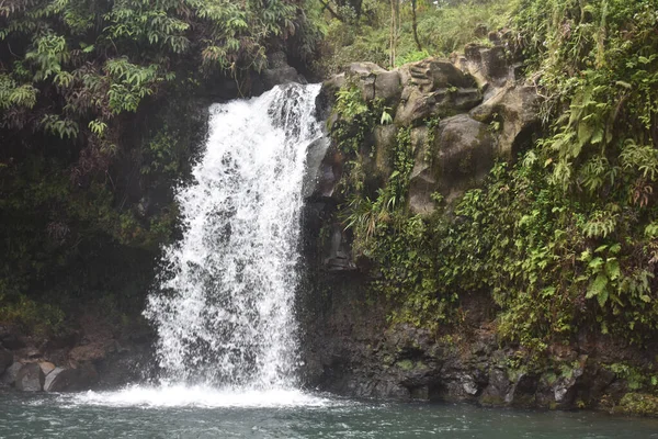 Uma Vista Uma Cachoeira Tropical Longo Estrada Para Hana Ilha — Fotografia de Stock