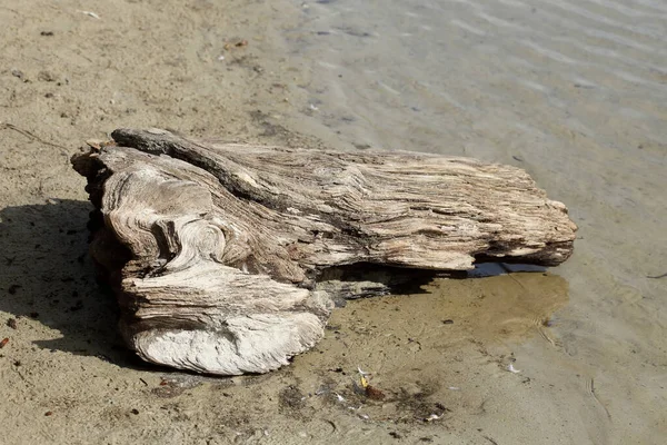 Gros Plan Une Texture Bois Cassée Sur Une Plage — Photo