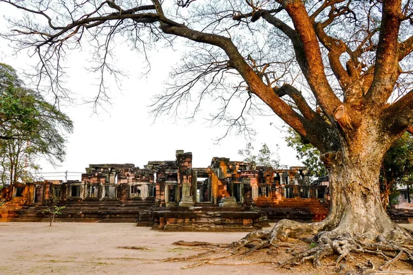 Antike Steinruinen Phimai Historical Park Thailand Durch Äste Gesehen — Stockfoto