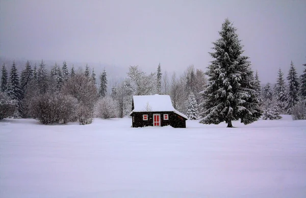 Die Landschaft Eines Holzhauses Das Winter Mit Schnee Bedeckt Ist — Stockfoto