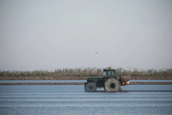 Tracteur Vintage Dans Une Plantation Riz Pour Cultiver Champ Agricole — Photo