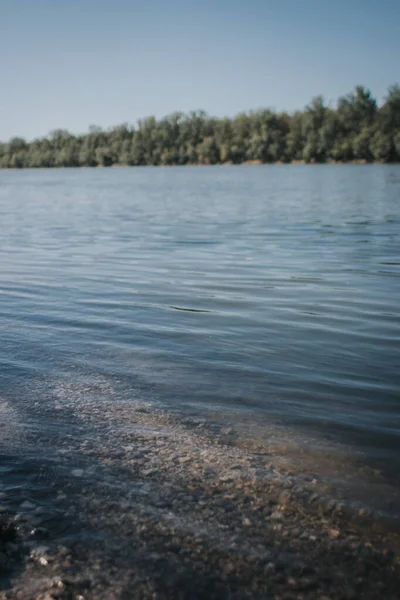 Över Lugn Strand Med Tjock Vegetation Klar Himmel Bakgrund — Stockfoto