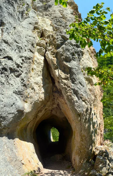 Plano Vertical Cueva Tártara Las Gargantas Varghis Rumania — Foto de Stock